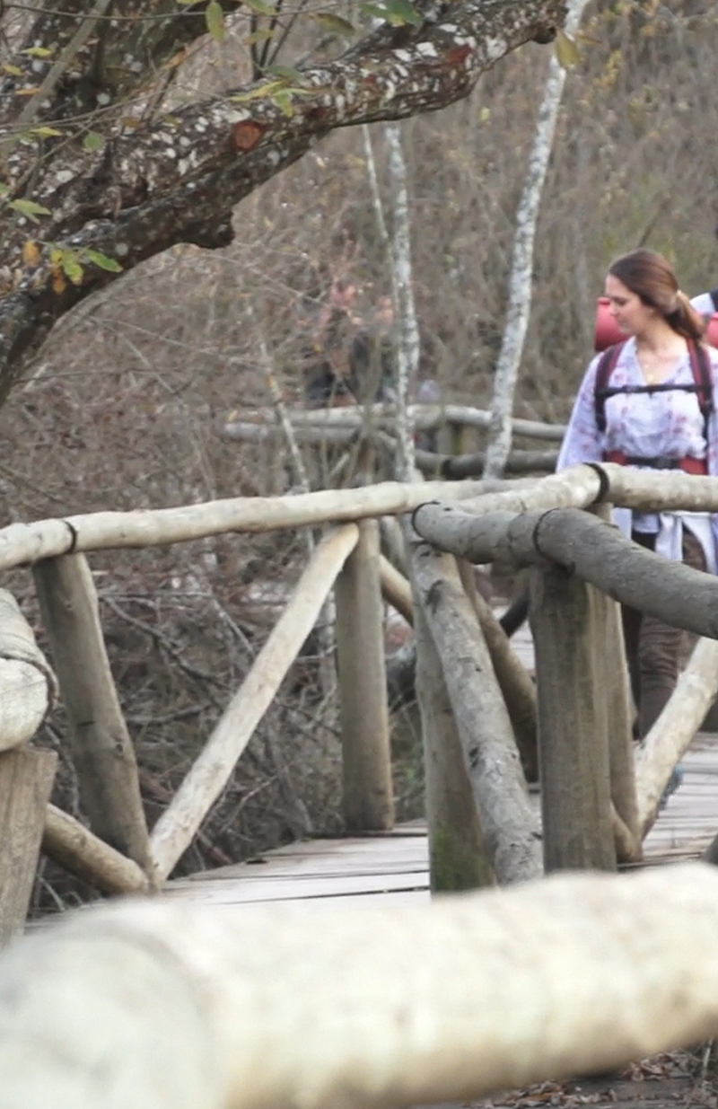 Visitas guiadas por Doñana Turismo de Almonte